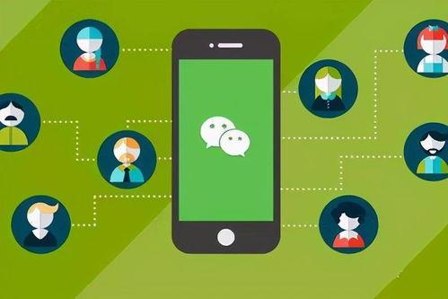 小程序最新爆料看点软件,看点软件功能大升级，用户体验再升级！